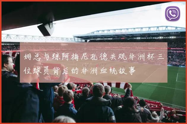 姆总与琼阿梅尼孔德共观非洲杯三位球员背后的非洲血统故事
