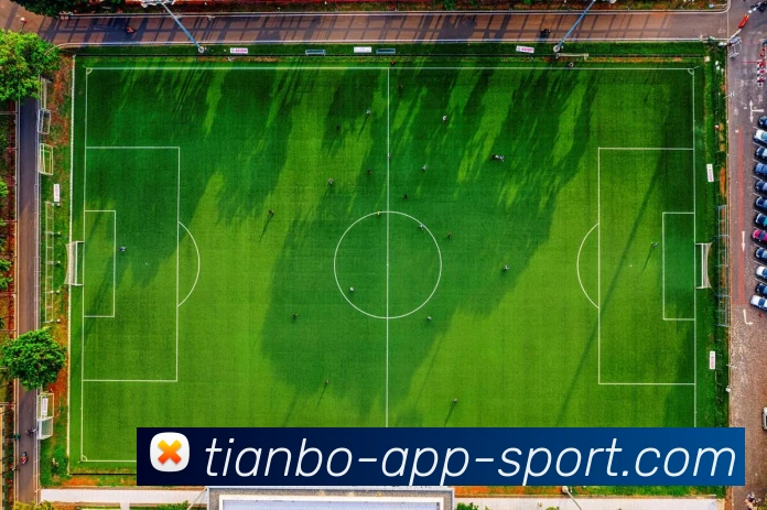 App Interface Preview