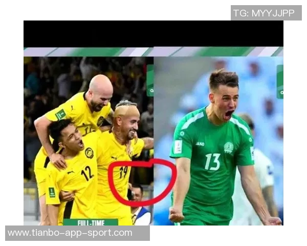 七名归化球员起诉马来西亚足协索赔因违规禁赛一年事件引发关注